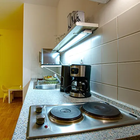 Karlov Apartment Mala Moravka
